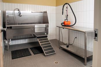 Pet washing station